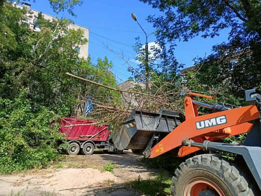 В Иванове продолжают убирать поваленные 8 июля деревья